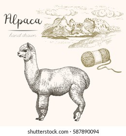 Alpaca. Set of vector sketches of alpaca and mountain landscape on a white background