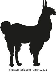 Alpaca Silhouette