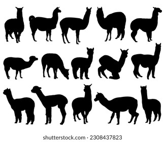 Alpaca-Silhouette-Paket, Tiersymbol-Paket, Vektorgrafik