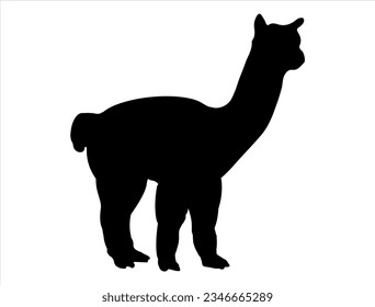 Alpaca silhouette Vektorgrafik Tier