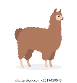 Alpaca simple Ilustración vectorial. Clipart de dibujos animados de alpaca marrón, animal en estilo plano. Concepto de animales de granja, agricultura rural. Diseño de Vector de alpaca animal de ganado aislado sobre fondo blanco