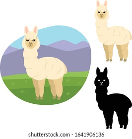 Alpaca stands on a green pasture on a background of hills and blue sky