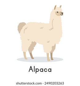 Alpaka-Vektorillustration. Netter Alpaka-Cartoon-Clipart, Tier im flachen Stil. Konzept der Nutztiere, ländliche Landwirtschaft. Tierisches Alpaca-Vektorgrafik-Design isoliert auf weißem Hintergrund