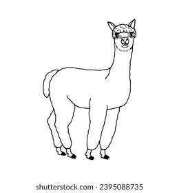 Alpaca. Vector stock illustration eps10. Isolate on a white background, out line.