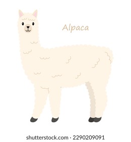 Alpaca (Vicugna Pacos) süßes Tier im bunten Cartoon-Stil einzeln auf weißem Hintergrund. Vektorgrafiken. Es ist südamerikanisches Säugetier, das einem kleinen Lama ähnelt, bekannt für seine weiche und flauschige Wolle.