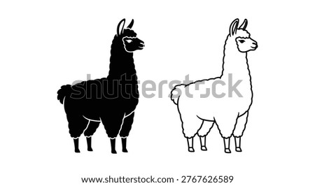 Alpaca vs Llama Distinctive Animal Comparison Guide Vector