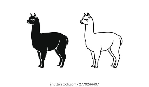 Alpaca vs Llama: Distinctive South American Camelids Guide Vector
