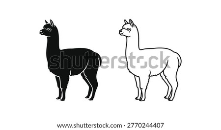 Alpaca vs Llama: Distinctive South American Camelids Guide Vector