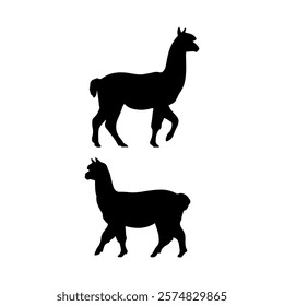 Alpaca walking silhouette icon vector illustration design on white background.