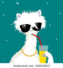An alpaca,a llama in sunglasses drinks a cocktail and juice from a glass through a straw.A gold chain around her neck.A starry sky, a party, a vacation on the beach. Summer trip.The way of a rich life
