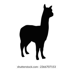 Alpacas black icon design vector.