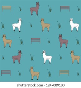 Alpacas Woolly Mammal Animals Wallpaper With Blue background 