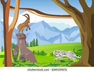 Alpen mountain nature, animals, wild goat and snow leopards, vector wildlife concept illustration
