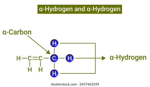 Alpha carbon and alpha hydrogen