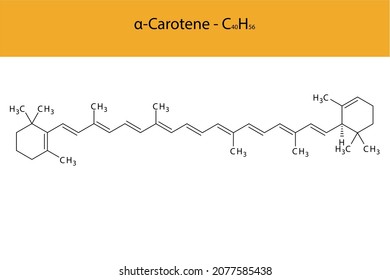 α Alfa Caroteno Estructura esquelética y fórmula molecular. Biomolécula orgánica, ilustración vectorial aislada