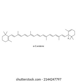 α Alpha Carotene Skeletal structure and molecular formula. Organic biomolecule, isolated vector illustration