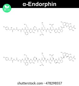 Alpha endorphin chemical structure, endogenous morphine substance, 2d chemical vector sign, isolated on white background, eps 8