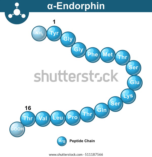endorphin chemical structure