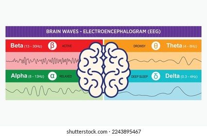 Gráfica digital alfa, gamma, beta y theta alfa, gamma, beta y theta de ondas cerebrales. Ondas cerebrales humanas y diferentes frecuencias diagrama y explicación