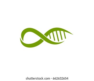 Alpha Helix