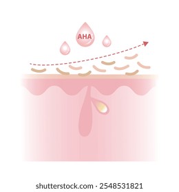 Alpha Hydroxy Acids characteristics vector illustration on white background. AHA work on the surface of the skin to exfoliate, promote cell turnover and water soluble. Skin care and beauty concept.