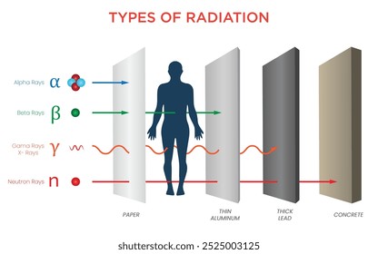 Alpha particles have low penetration power, beta particles moderate, gamma rays high, and neutrons penetrate deeply due to their lack of charge.