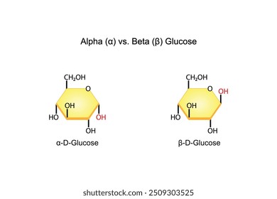 Alpha versus Beta Glucose. Chemical structure. Chemistry Scientific vector illustration.