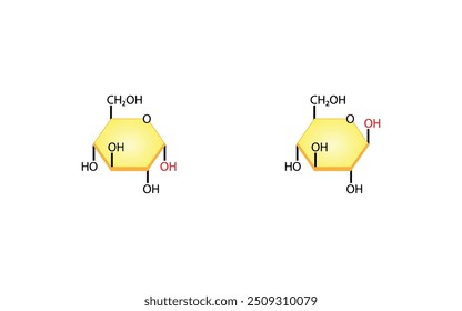 Alfa versus beta glucosa. Estructura química. Química Ilustración vectorial científica.
