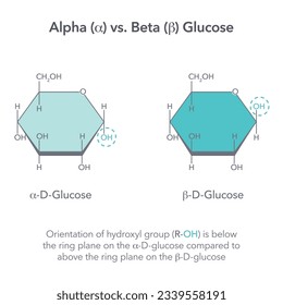 Diagrama de ilustraciones vectoriales de la química de la glucosa alfa versus beta