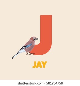 Alphabet abc letter J vector illustration with bird jay