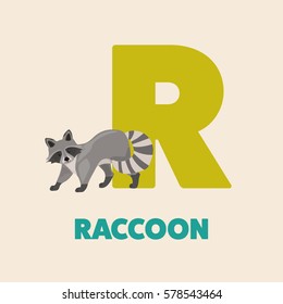 Alphabet abc letter R vector illustration with animal raccoon