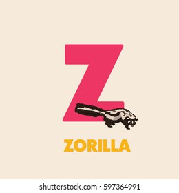 Alphabet abc letter Z vector illustration with animal zorilla