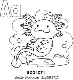 alphabet animal axolotl for coloring with word, hand drawn letter animal cartoon