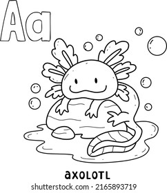 alphabet animal axolotl for coloring with word, hand drawn letter animal cartoon