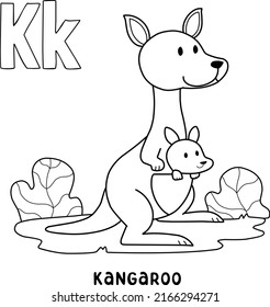 14,713 Kangaroo Color Images, Stock Photos & Vectors | Shutterstock