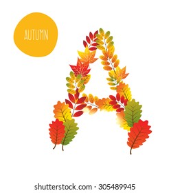 alphabet of autumn leaves