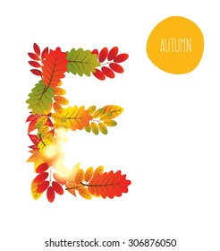 alphabet of autumn leaves