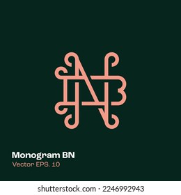 Alphabet BN illustration monogram vector logo template, can be used for branding and business logo