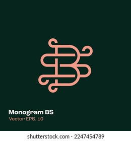 Alphabet BS illustration monogram vector logo template, can be used for branding and business logo