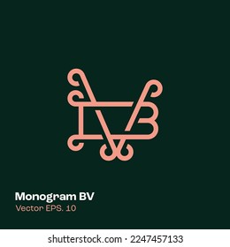 Alphabet BV illustration monogram vector logo template, can be used for branding and business logo