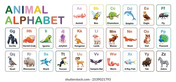 Alphabet cards with animals for each letter, including axolotl, bee, dolphin, and yak. Vector cartoon illustration