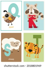 Alphabet cards for kids. Educational preschool learning ABC with animals quail, raccoon, sheep, tiger and letters Q, R, S, T. Vector illustration.