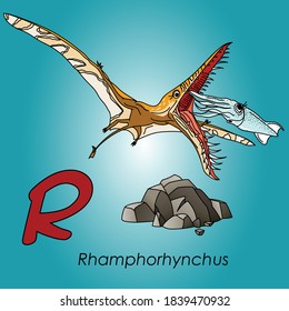 Alphabet for children abc dinosaurus rhamphorhynchus letter r