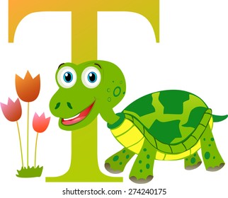 Alphabet for children: letter T is for Turtle