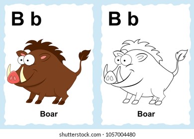 Alphabet coloring book page with outline clip art to color. Letter B. Boar. Vector animals.