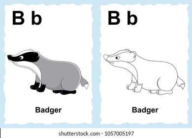 Alphabet coloring book page with outline clip art to color. Letter B. Badger. Vector animals.