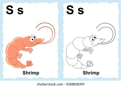 Alphabet coloring book page with outline clip art to color. Letter S. Shrimp. Vector animals.