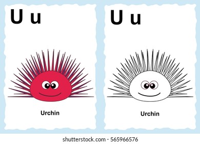 alphabet coloring book page with outline clip art to color. Letter U. Cartoon urchin. Coloring page for nursery school.