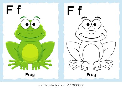 Download Frog Color High Res Stock Images Shutterstock