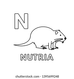 Alphabet with cute cartoon animals isolated on white background. Coloring pages for children education. Vector illustration of nutria and letter N